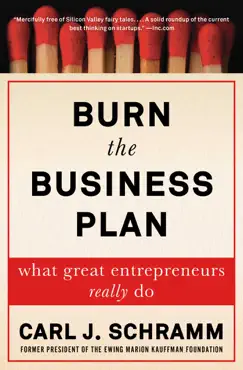 burn the business plan book cover image