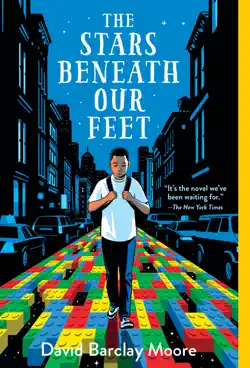 the stars beneath our feet book cover image