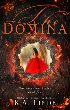 the domina book cover image