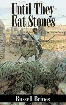 until they eat stones (illustrated) book cover image