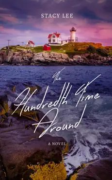 the hundredth time around book cover image