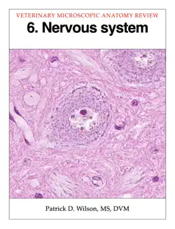 nervous system book cover image