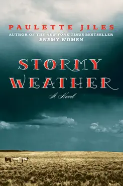 stormy weather book cover image