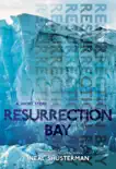 Resurrection Bay synopsis, comments
