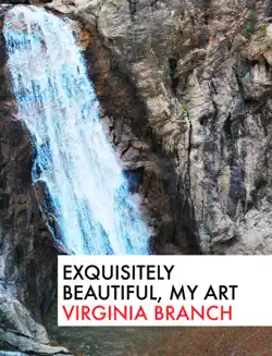 exquisitely beautiful, my art book cover image