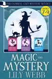 Magic and Mystery sinopsis y comentarios