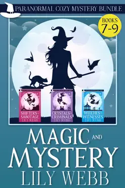 magic and mystery book cover image