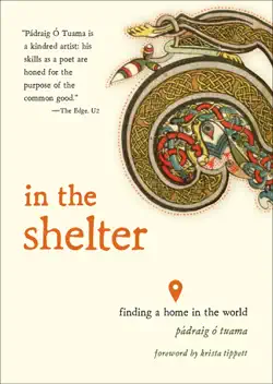 in the shelter book cover image