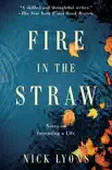 Fire in the Straw synopsis, comments