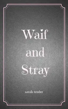 waif and stray book cover image