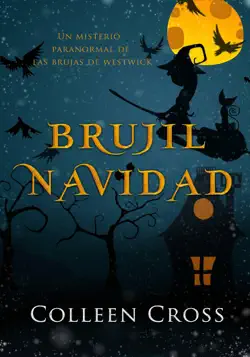brujil navidad book cover image