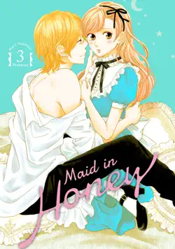 maid in honey volume 3 book cover image