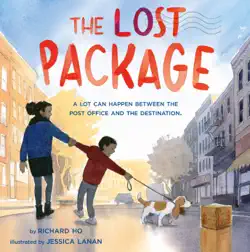 the lost package book cover image