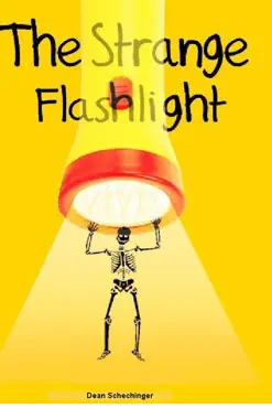 the strange flashlight book cover image