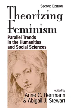 theorizing feminism book cover image