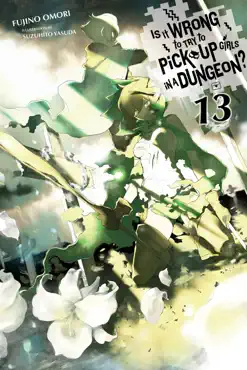 is it wrong to try to pick up girls in a dungeon?, vol. 13 (light novel) book cover image