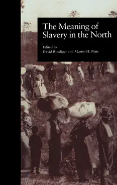 the meaning of slavery in the north book cover image