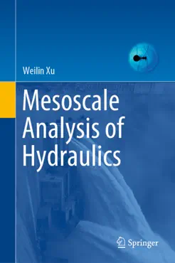 mesoscale analysis of hydraulics imagen de la portada del libro