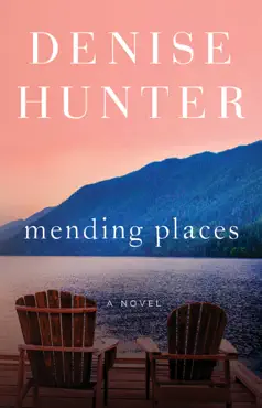 mending places book cover image