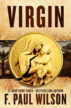 virgin book cover image