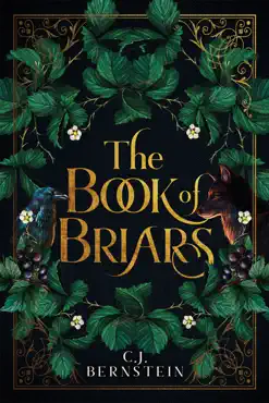 the book of briars book cover image