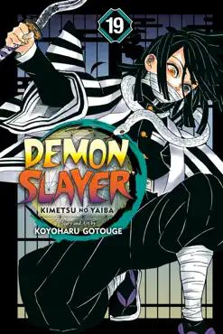 demon slayer: kimetsu no yaiba, vol. 19 book cover image