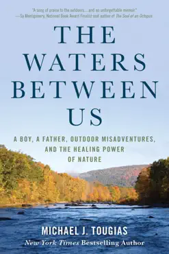 the waters between us book cover image