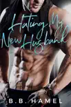 Hating My New Husband synopsis, comments