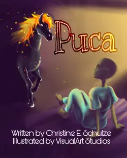 puca book cover image