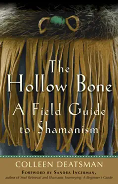 the hollow bone book cover image