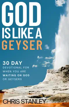 god is like a geyser book cover image