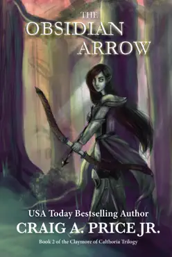 the obsidian arrow book cover image