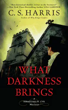 what darkness brings book cover image