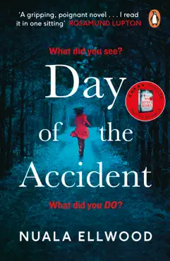day of the accident book cover image