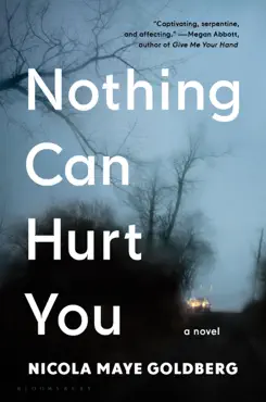 nothing can hurt you book cover image