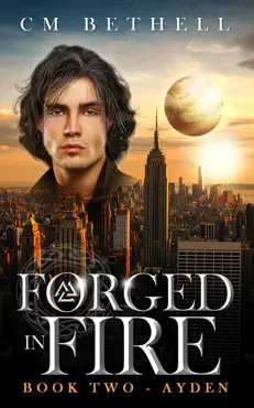 forged in fire book two - ayden book cover image
