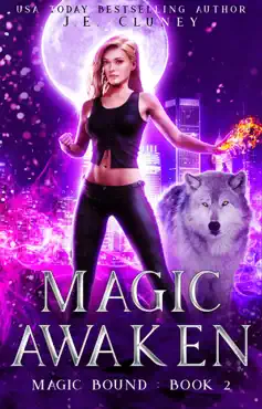magic awaken book cover image