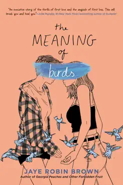 the meaning of birds book cover image