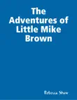 The Adventures of Little Mike Brown synopsis, comments