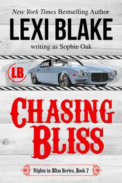 chasing bliss, nights in bliss, colorado, book 7 book cover image