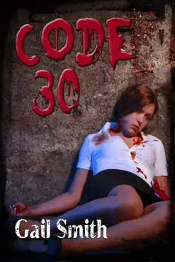 code 30 book cover image