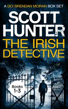 the irish detective book cover image