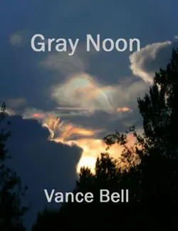 gray noon book cover image