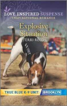 explosive situation book cover image