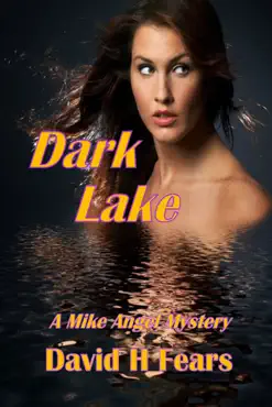 dark lake: a mike angel mystery book cover image
