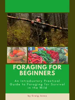 foraging for beginners imagen de la portada del libro