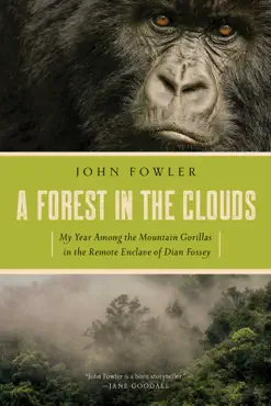 a forest in the clouds book cover image