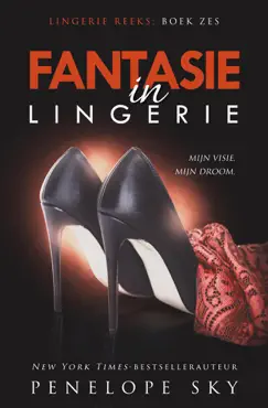fantasie in lingerie book cover image