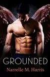 Grounded synopsis, comments