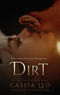 dirt book cover image